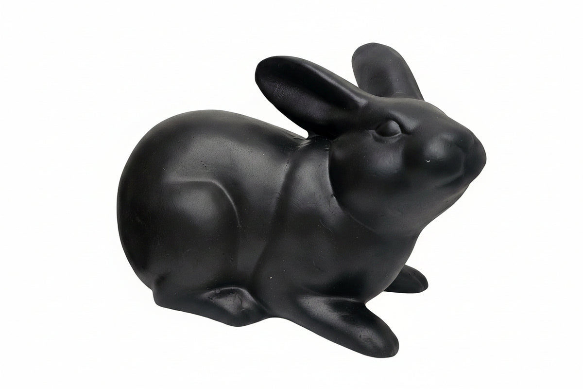 Black sitting bunny