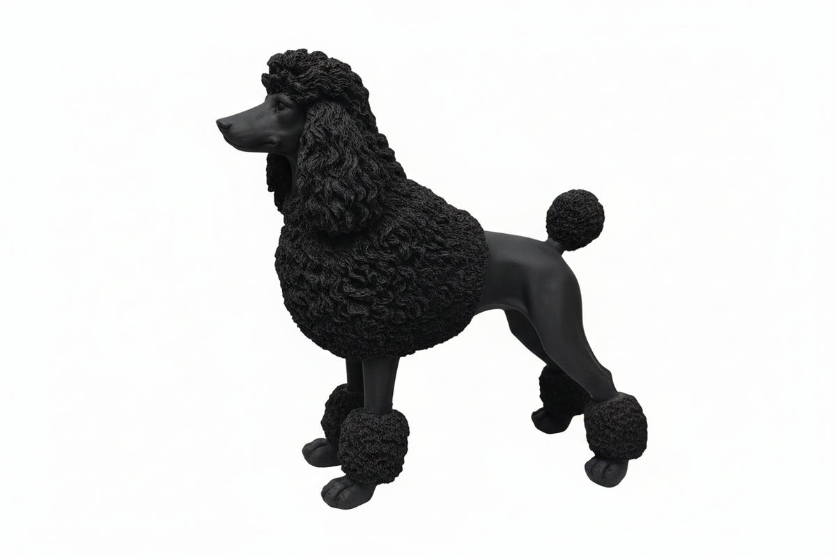 BLACK FRENCH POODLE
