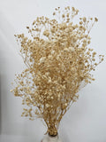 BABY'S BREATH DRIED BOUQUET TAN