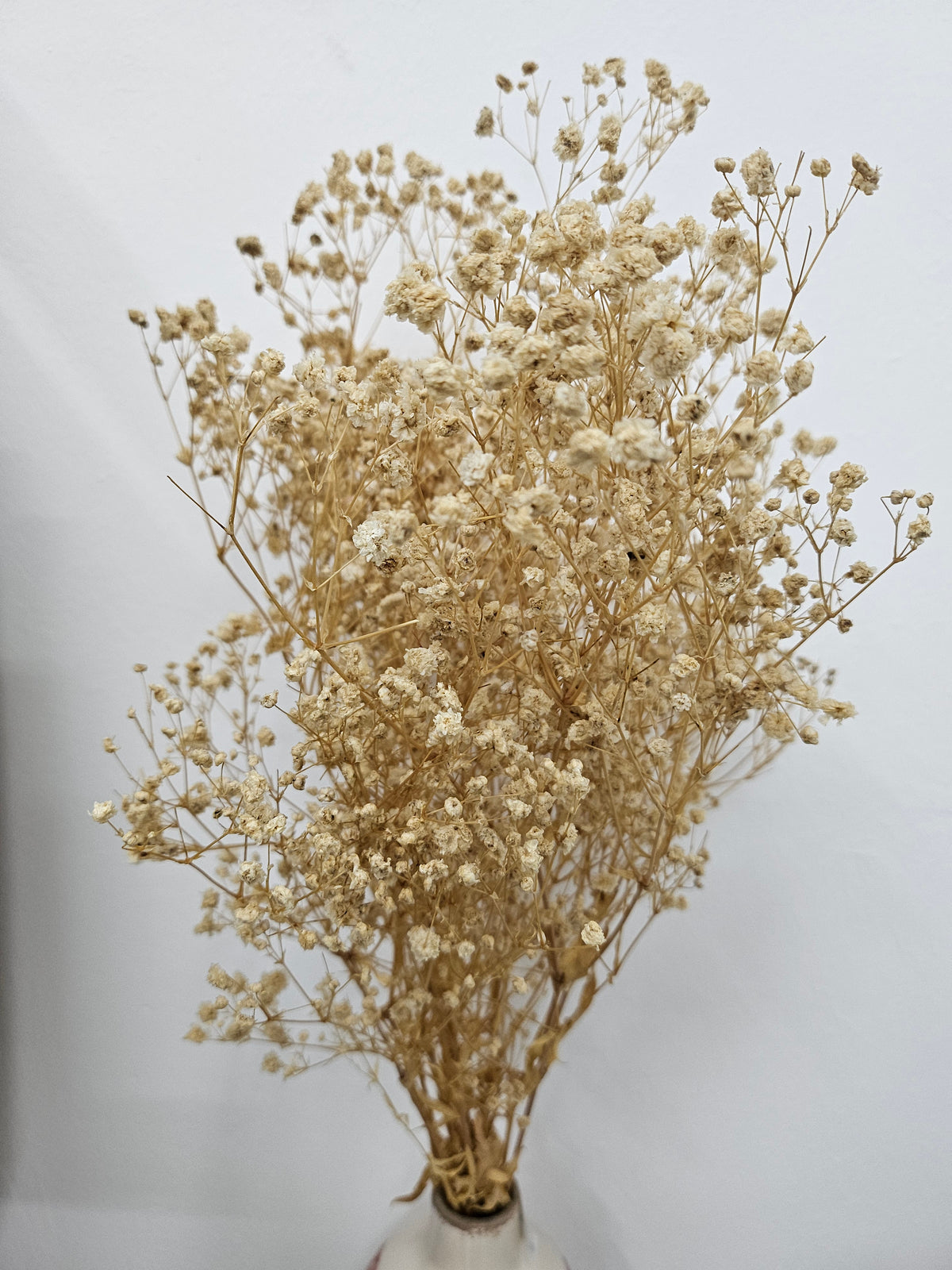 BABY'S BREATH DRIED BOUQUET TAN