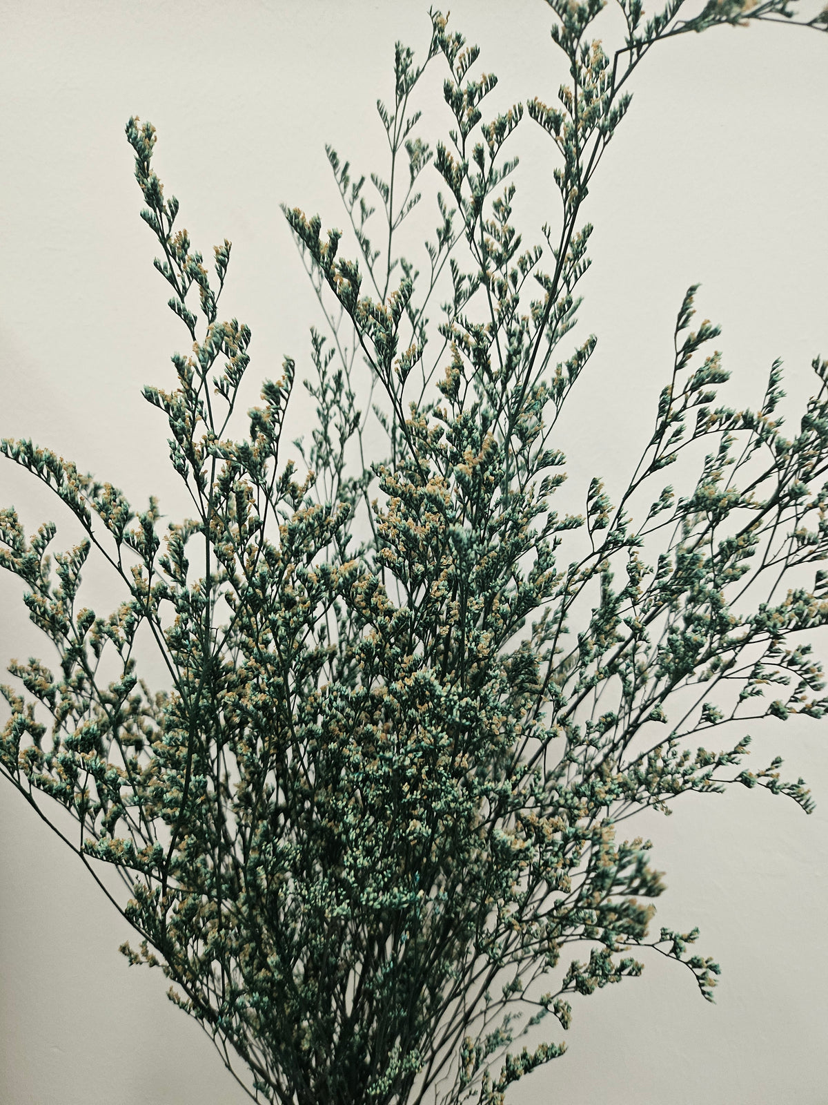 Natural dried love grass bouquets