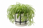 B/W CERAMIC POT SML