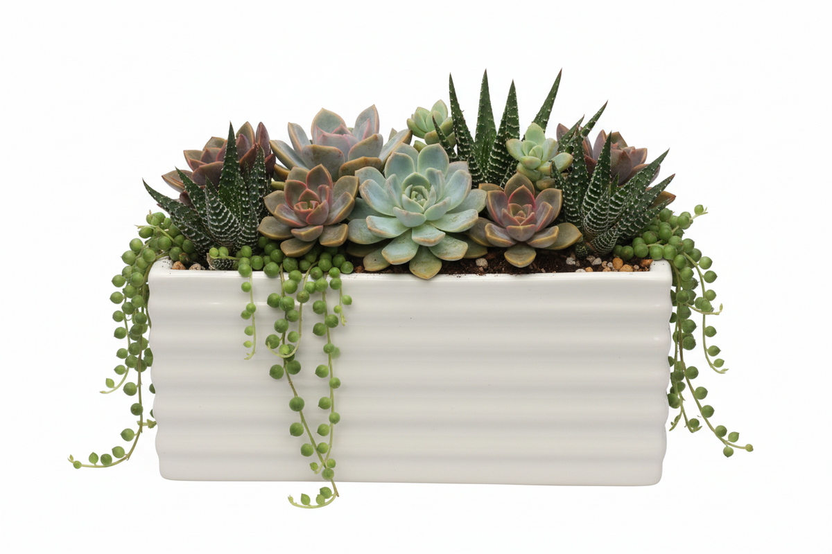 SUCCULENT MINI RECT PLANTER